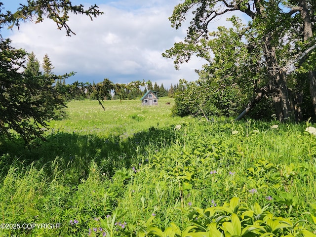 44931 Fox View Dr, Homer, AK 99603 - view of yard