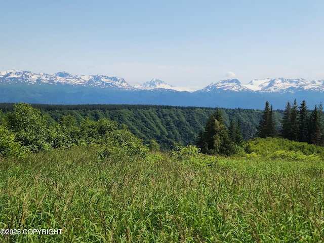 44931 Fox View Dr, Homer, AK 99603 - view of mountain backdrop with a forest