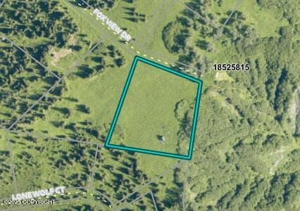 44931 Fox View Dr, Homer, AK 99603 - map / location with property parcel outlined