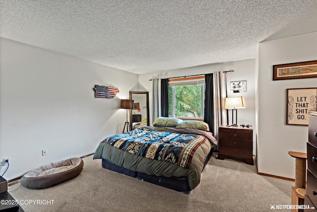 260 N Gloria St, Palmer, AK 99645 - bedroom with carpet and a textured ceiling