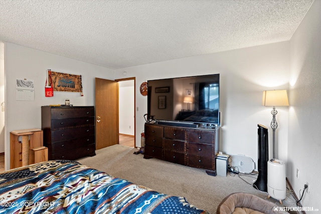 260 N Gloria St, Palmer, AK 99645 - bedroom featuring a textured ceiling and carpet flooring