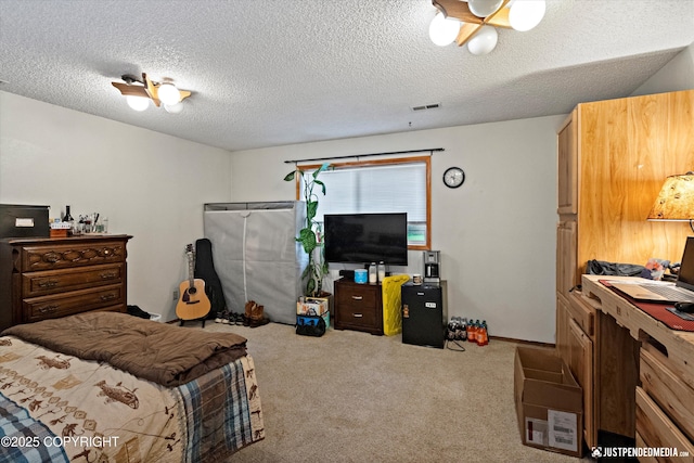 260 N Gloria St, Palmer, AK 99645 - carpeted bedroom with a textured ceiling