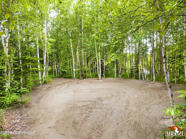 365 W Crestwood Ave, Wasilla, AK 99654 - view of undeveloped land