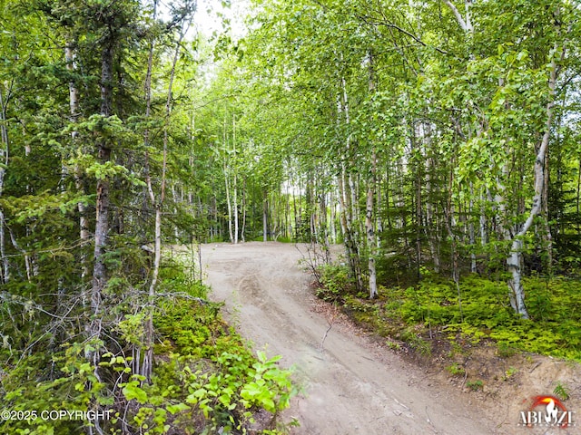 365 W Crestwood Ave, Wasilla, AK 99654 - view of road with a wooded view