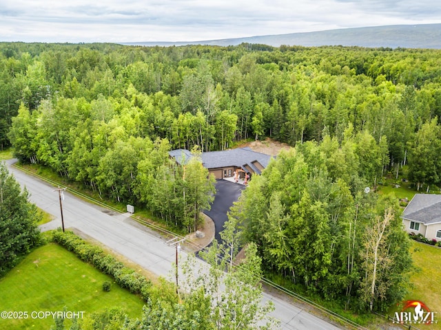 365 W Crestwood Ave, Wasilla, AK 99654 - view of subject property featuring a heavily wooded area