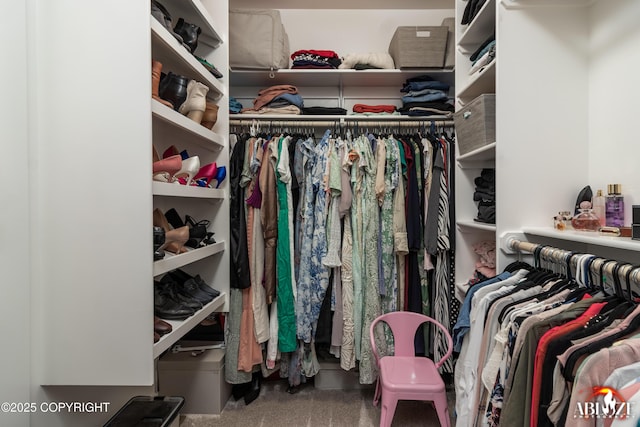 365 W Crestwood Ave, Wasilla, AK 99654 - view of spacious closet