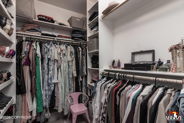 365 W Crestwood Ave, Wasilla, AK 99654 - view of walk in closet