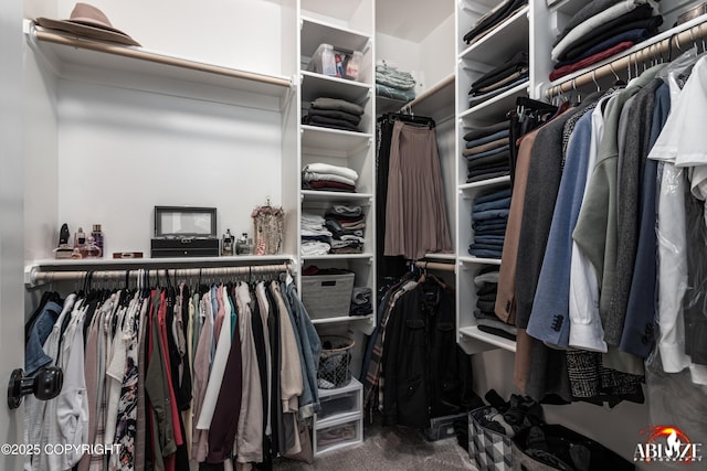365 W Crestwood Ave, Wasilla, AK 99654 - spacious closet featuring carpet flooring