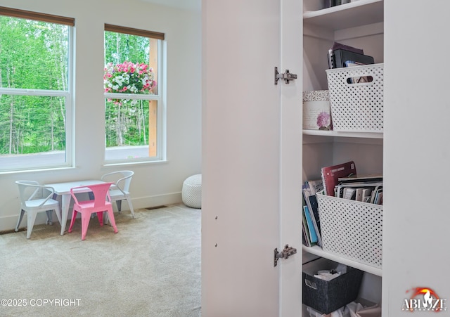 365 W Crestwood Ave, Wasilla, AK 99654 - interior space