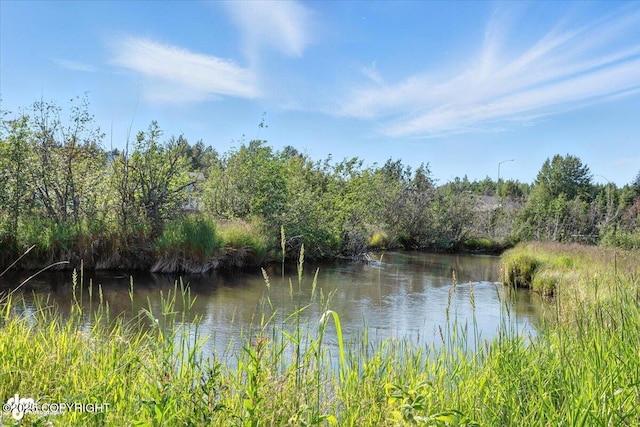 2350 Canary Ct, Anchorage, AK 99515 - water view