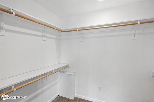 2350 Canary Ct, Anchorage, AK 99515 - view of spacious closet