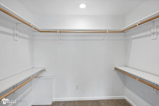 2350 Canary Ct, Anchorage, AK 99515 - spacious closet featuring carpet flooring
