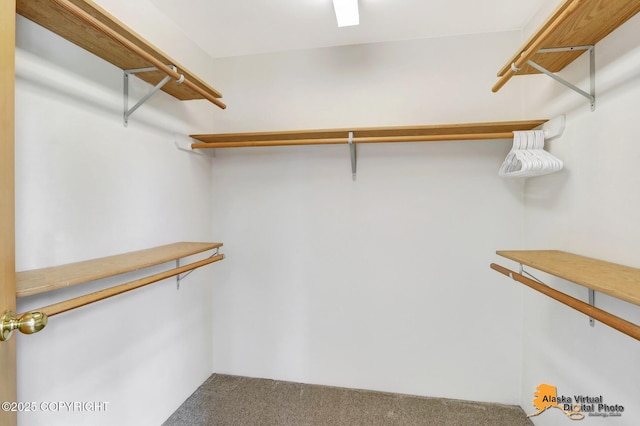1414 W 7th Ave # 2, Anchorage, AK 99501 - walk in closet with carpet floors