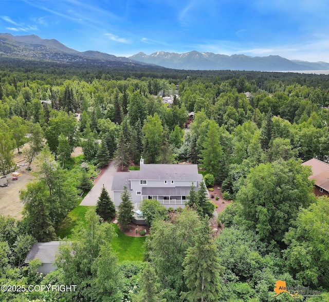 4251 E 135th Ave, Anchorage, AK 99516 - photo 74