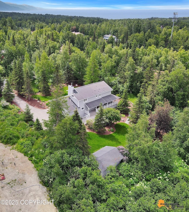 4251 E 135th Ave, Anchorage, AK 99516 - photo 75