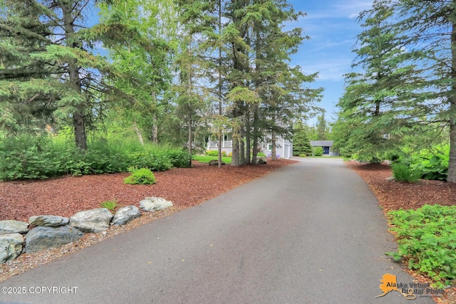 4251 E 135th Ave, Anchorage, AK 99516 - photo 59