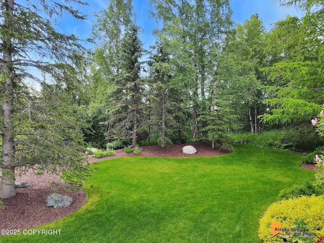 4251 E 135th Ave, Anchorage, AK 99516 - photo 48
