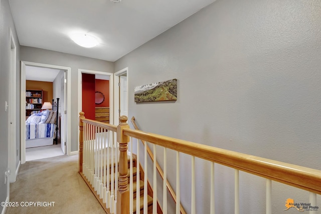 4251 E 135th Ave, Anchorage, AK 99516 - photo 31