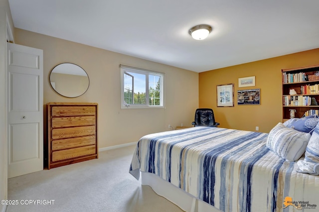 4251 E 135th Ave, Anchorage, AK 99516 - photo 36