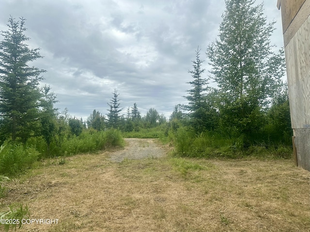 31056 Hannah Rene Rd, Anchor Point, AK 99556