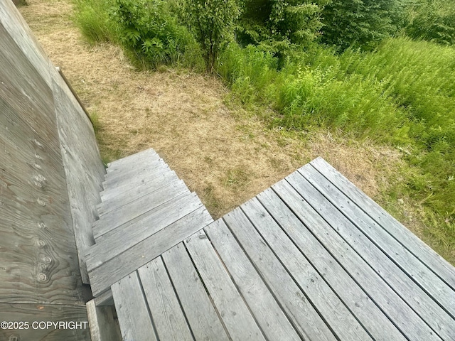 31056 Hannah Rene Rd, Anchor Point, AK 99556