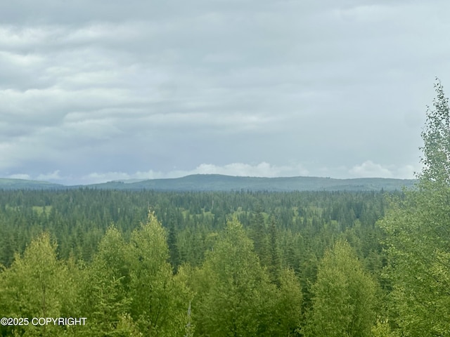 31056 Hannah Rene Rd, Anchor Point, AK 99556