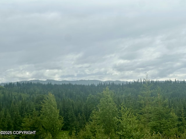 31056 Hannah Rene Rd, Anchor Point, AK 99556