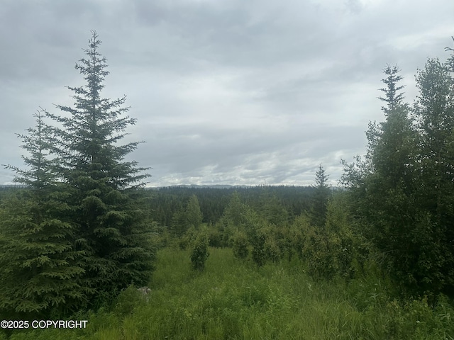 31056 Hannah Rene Rd, Anchor Point, AK 99556