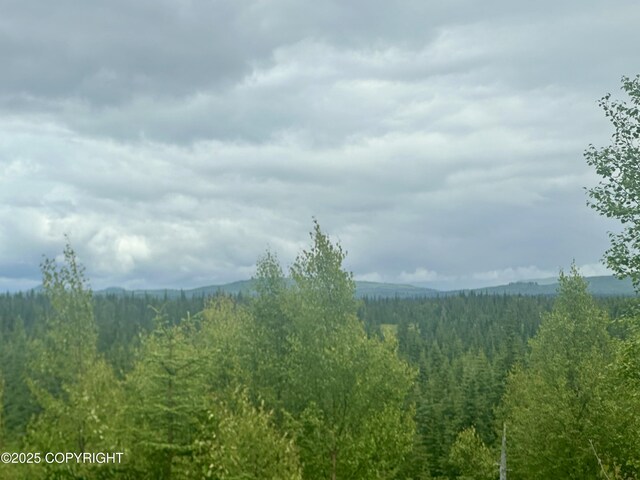 31056 Hannah Rene Rd, Anchor Point, AK 99556