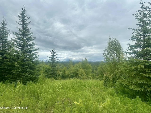 31056 Hannah Rene Rd, Anchor Point, AK 99556