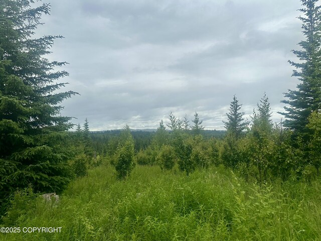 31056 Hannah Rene Rd, Anchor Point, AK 99556