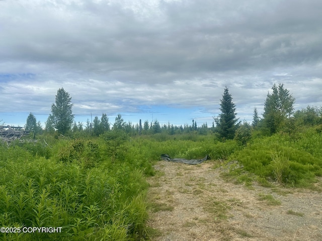 31056 Hannah Rene Rd, Anchor Point, AK 99556
