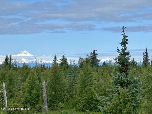 31056 Hannah Rene Rd, Anchor Point, AK 99556