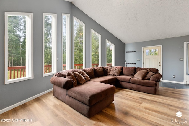 3021 N Arctic Fox Dr, Wasilla, AK 99654 - living room with vaulted ceiling, wood finished floors, and a textured ceiling