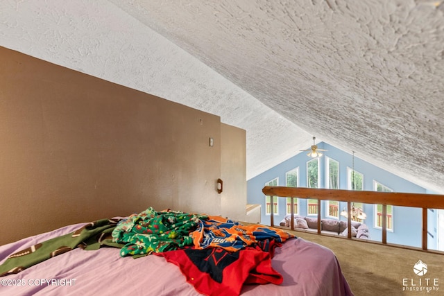 3021 N Arctic Fox Dr, Wasilla, AK 99654 - carpeted bedroom featuring lofted ceiling and a textured ceiling