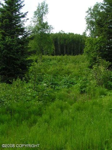 4430 E Hill Rd, Homer, AK 99603