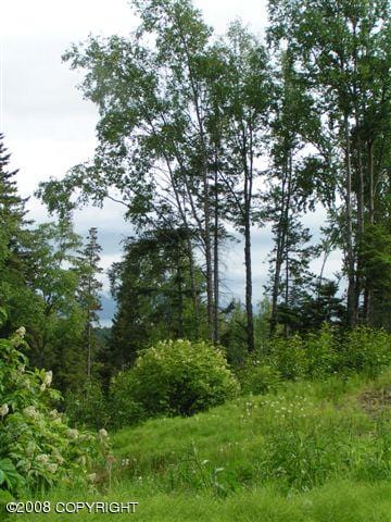 4430 E Hill Rd, Homer, AK 99603