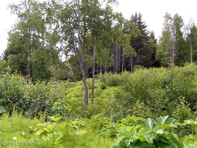 4430 E Hill Rd, Homer, AK 99603