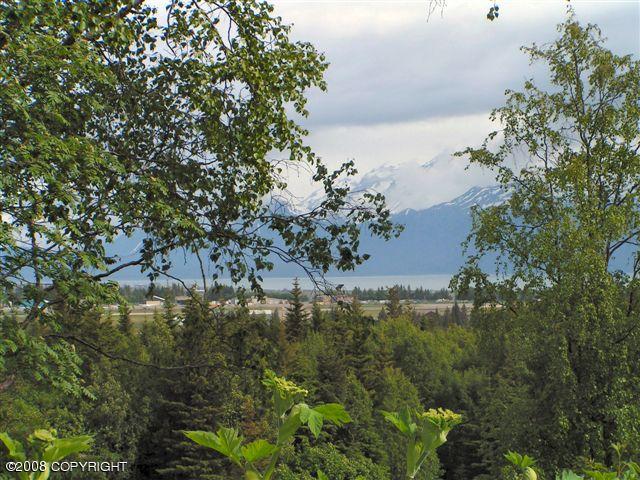 4430 E Hill Rd, Homer, AK 99603
