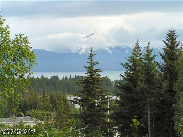 4430 E Hill Rd, Homer, AK 99603