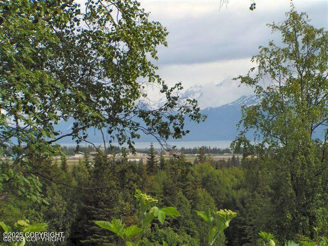 4430 E Hill Rd, Homer, AK 99603
