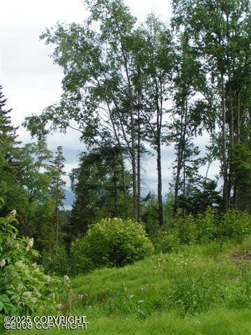 4430 E Hill Rd, Homer, AK 99603