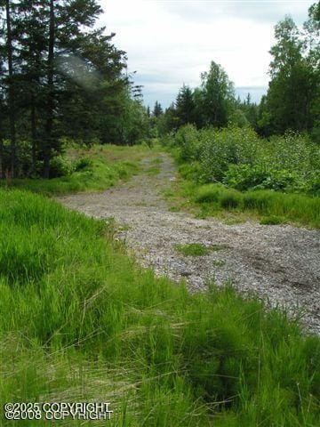 4430 E Hill Rd, Homer, AK 99603