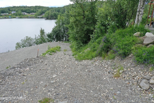 4213 S Forecastle Ln, Big Lake, AK 99623