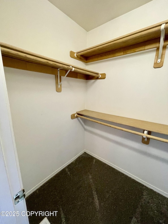 11613 Birch Knoll Loop, Anchorage, AK 99515 - view of walk in closet