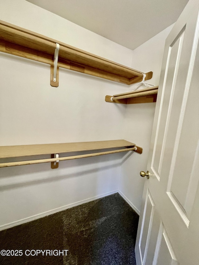 11613 Birch Knoll Loop, Anchorage, AK 99515 - spacious closet with dark colored carpet