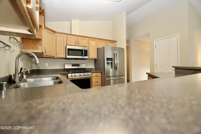 11613 Birch Knoll Loop, Anchorage, AK 99515 - kitchen with appliances with stainless steel finishes and lofted ceiling