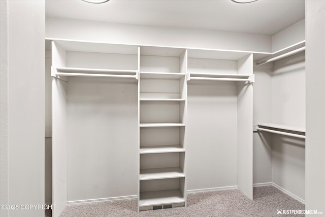 3561 Eastwind Dr, Anchorage, AK 99516 - walk in closet featuring carpet floors