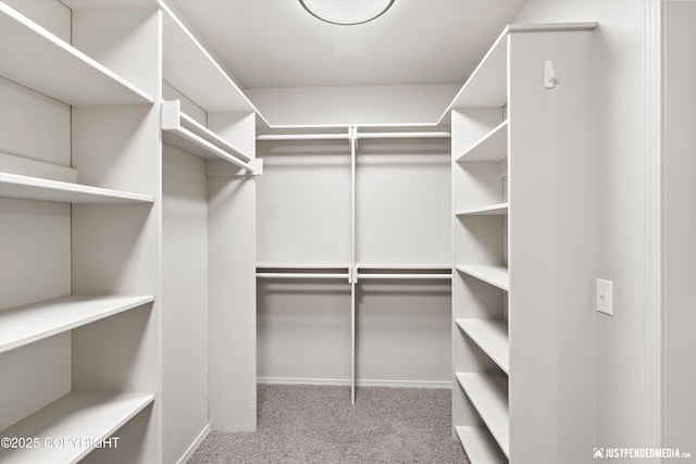 3561 Eastwind Dr, Anchorage, AK 99516 - spacious closet with carpet flooring