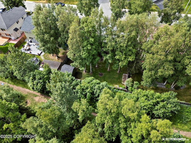 3561 Eastwind Dr, Anchorage, AK 99516 - aerial view